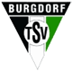 TSV Burgdorf Handbal