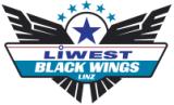 Black Wings Linz Hochei