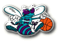 Charlotte Hornets Baschet