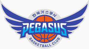 Daegu KoGas Pegasus Baschet