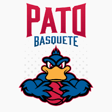 Pato Basquete Baschet