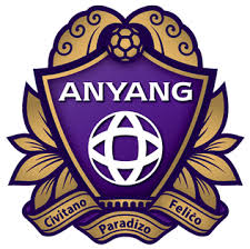 FC Anyang Fotbal