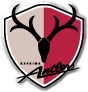 Kashima Antlers Fotbal