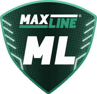 FC Maxline Vitebsk Fotbal