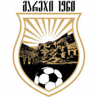 Logo týmu