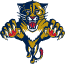 Florida Panthers Hochei