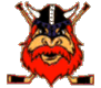 Nybro Vikings IF Hochei