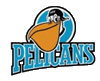 Pelicans Lahti Hochei