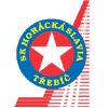 Horácká Slavia Třebíč Hochei
