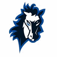 Wipptal Broncos Hochei